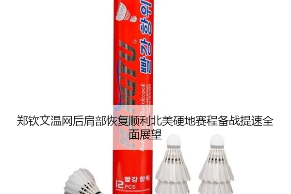 郑钦文温网后肩部恢复顺利北美硬地赛程备战提速全面展望