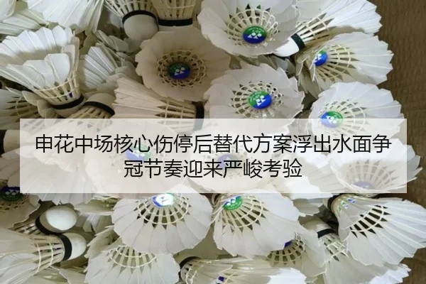 申花中场核心伤停后替代方案浮出水面争冠节奏迎来严峻考验